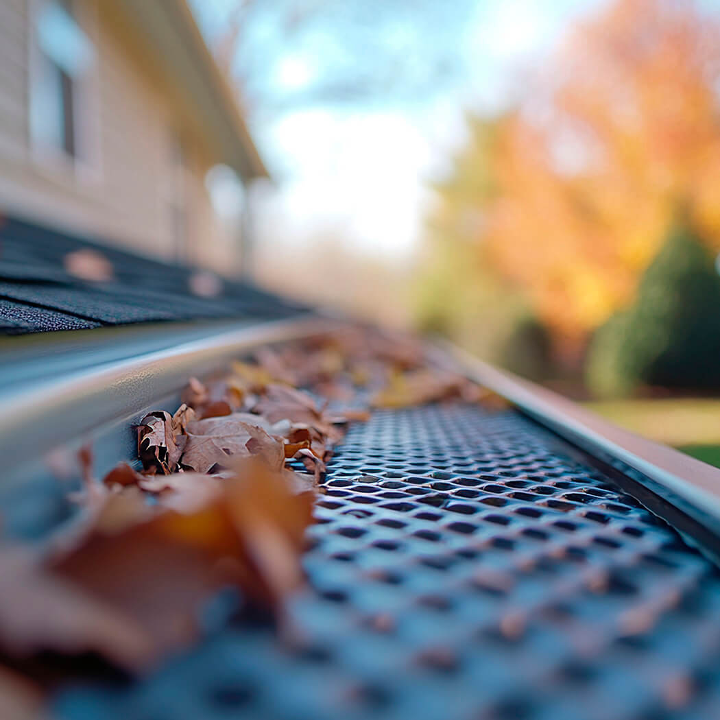 Castro Alves Gutters Guards